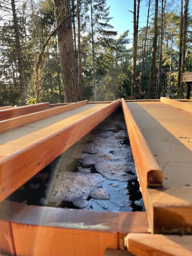 Bain De Foret - Lodges Cosy & Spa Neufchâtel-Hardelot Buitenkant foto