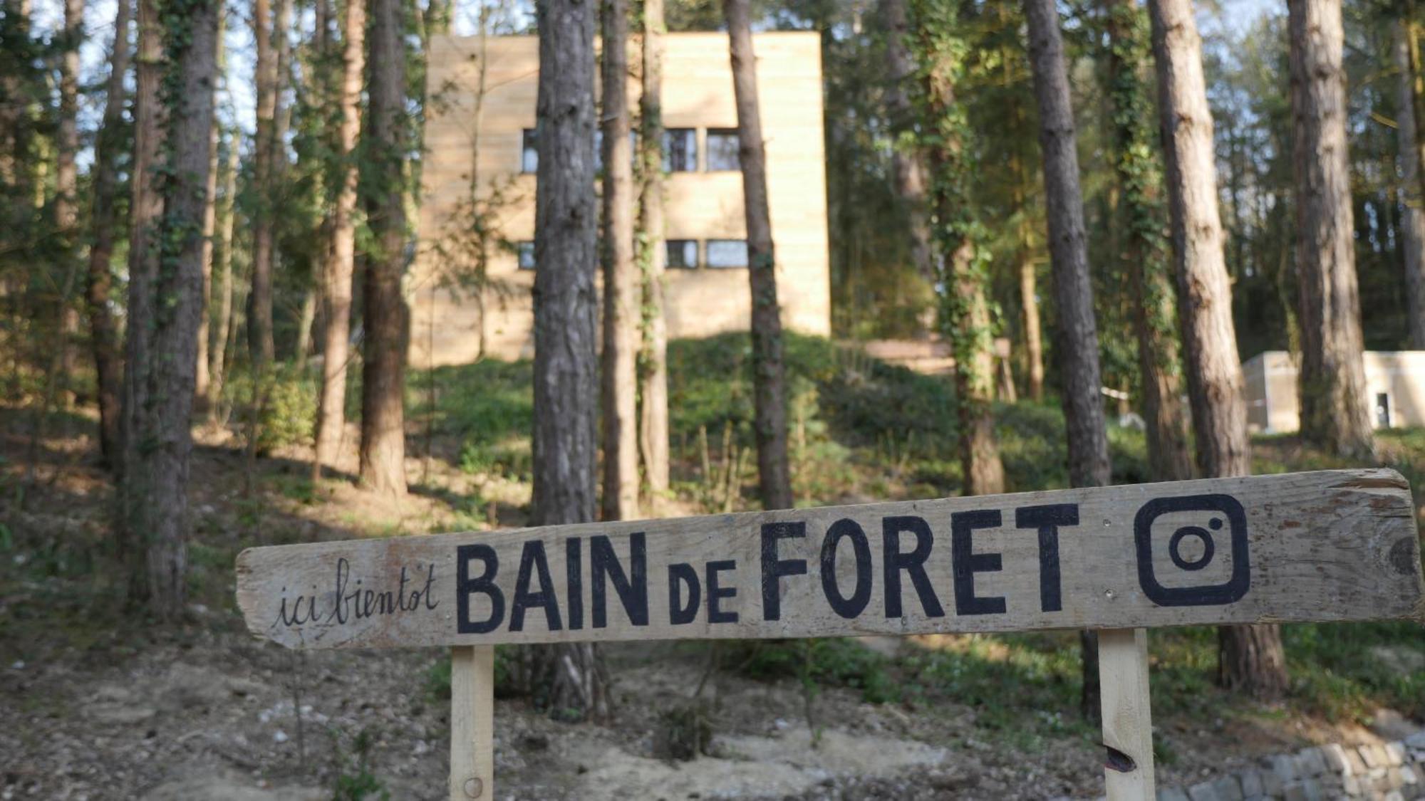 Bain De Foret - Lodges Cosy & Spa Neufchâtel-Hardelot Kamer foto